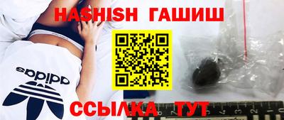 ALPHA PVP Гатчина